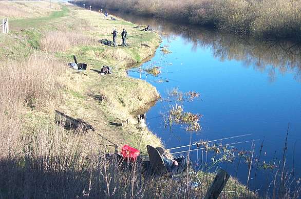 Delph pool